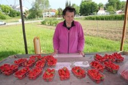 Štrasnerjevi (na fotografi ji Ivanova tašča Vida) jagode pridelujejo že 20 let, na skupno slabem hektarju površin pa gojijo še šparglje, maline, ribez in robide. Vse te pridelke prodajo na svoji stojnici.
