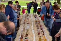 Marmelada – sladki festival za male in velike