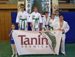 Sevniški karateisti v Zalaegersegu na Madžarskem
