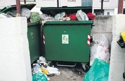 Živalski kadavri ne sodijo v noben zabojnik za zbiranje komunalnih odpadkov. (foto: arhiv lokalno.si)