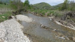Erozija ob Bistrici: Neprimerno sekanje obvodne vegetacije povzroča spodjedanje brežin in s tem zmanjševanje kmetijskih površin.
