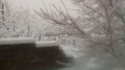 Na Golobinjeku je zapadlo okoli 10 centimetrov snega. (Cvetka)