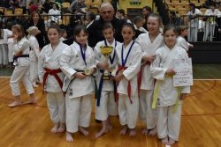  Karate klub Krka Črnomelj na državnem prvenstvu JKA do 15 medalj