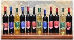 Županova vina skozi leta (foto: Rok Petančič)
