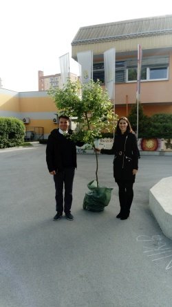 Osnovni šoli Brežice sta drevo predala Niko Kumar in mag. Jadranka Novoselc, direktorja partnerskih podjetij Valtex in Komunala Brežice (Foto Komunala Brežice)