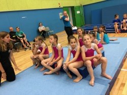 Telovadke Gimnastičnega društva Novo mesto ponovno z medaljami