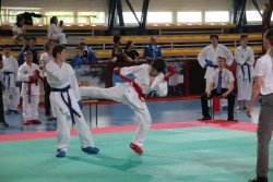 Uspeh sevniških karateistov na 25. Pokalu osnovnih in srednjih šol 