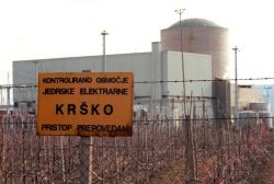 So res minirali krško nuklearko? (foto: Bobo)