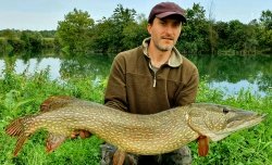 Ščuka velikanka - rekorden ulov v reki Krki