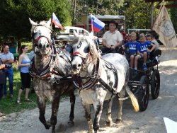 Vaše fotke: Belokranjska razstava konj