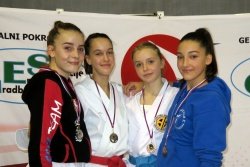 Šest odličij za brežiške karateiste na tretji pokalni tekmi v Novi Gorici