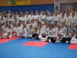 FOTO: Karate fest v Sevnici