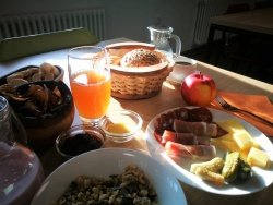 Zajtrk v Hostlu Bearlog (foto: Anja Pugelj)