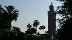 Prvo četrtkovo srečanje: V Maroko z zakoncema Zupanc 