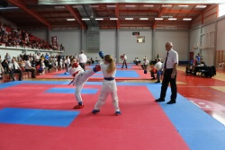 Sevničani tekmovali v olimpijskem karateju