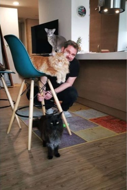 Igralcu Juriju Zrnecu in njegovi življenjski sopotnici Aleksandri Ilijevski doma družbo delajo kar trije mački. (osebni arhiv)