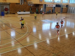 2. krog Ženske futsal lige: Sevničanke neodločeno s Košano
