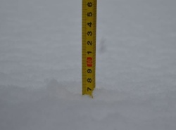 Vremenoslovci pravijo, da bi ponekod lahko zapadlo tudi 20 cm snega (Foto: arhiv DL)