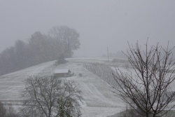 Prve včerajšnje snežinke v Ribnici na Dolenjskem je v fotoobjektiv ujel Miha Novosel