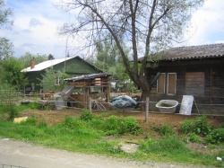 V romskem naselju Vejar živi približno 350 Romov. (Foto: D. S.)