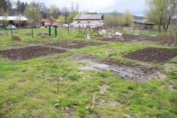Občina je pred leti v romskem naselju Vejar zagnala projekt samooskrbe  Romov, ki je sprva dobro zaživel, saj je bilo več let več kot 20 vrtov  zgledno obdelanih. (Foto: R. N.)