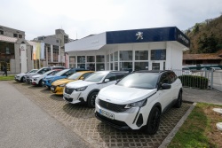 Prodajno-servisni center Peugeot in nov salon v posavski regiji