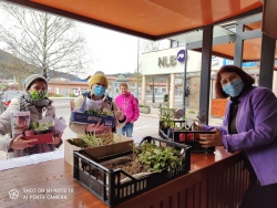 Prostovoljska akcija ''Vrtnarjenje z balkona - Podarjamo sadike''
