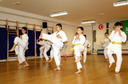  Yuki karate festival v Krškem in na Čatežu
