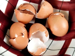 Jajčne lupine lahko povzročijo večjo blokado in trdovratnejši zamašek. (Profimedia)