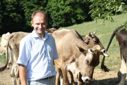 Andrej Kastelic s kravami, ki dajejo samo še mleko A2. (foto: I. Vidmar)