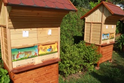 V zadnjem obdobju se posveča izdelovanju čebelnjakov z dvema AŽ-panjema.