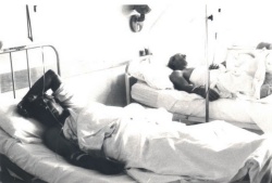 Ranjeni v napadu na Medvedjeku v novomeški bolnišnici (foto: M. Luzar)