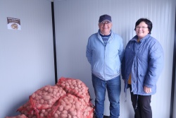 Medtem ko je Toni na tržnici, žena Dragica prodaja krompir pri krožišču  Pri Unionu, kjer imajo od nedavnega v ta namen postavljen tudi zabojnik.  (foto: M. L. S.)