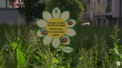 Sevničani ob svetovnem dnevu čebel