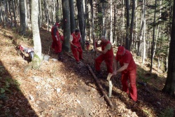 Markacisti so v preteklem letu za delo na planinskih poteh namenili skoraj 37 tisoč prostovoljnih ur (foto Mladen Živković)
