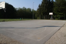 Potepuške pse so opazili tudi blizu košarkarskega igrišča v Podbrezniku. (Foto: R. N.)