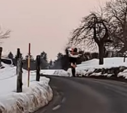 VIDEO: Z motorjem plesal na prometni cesti